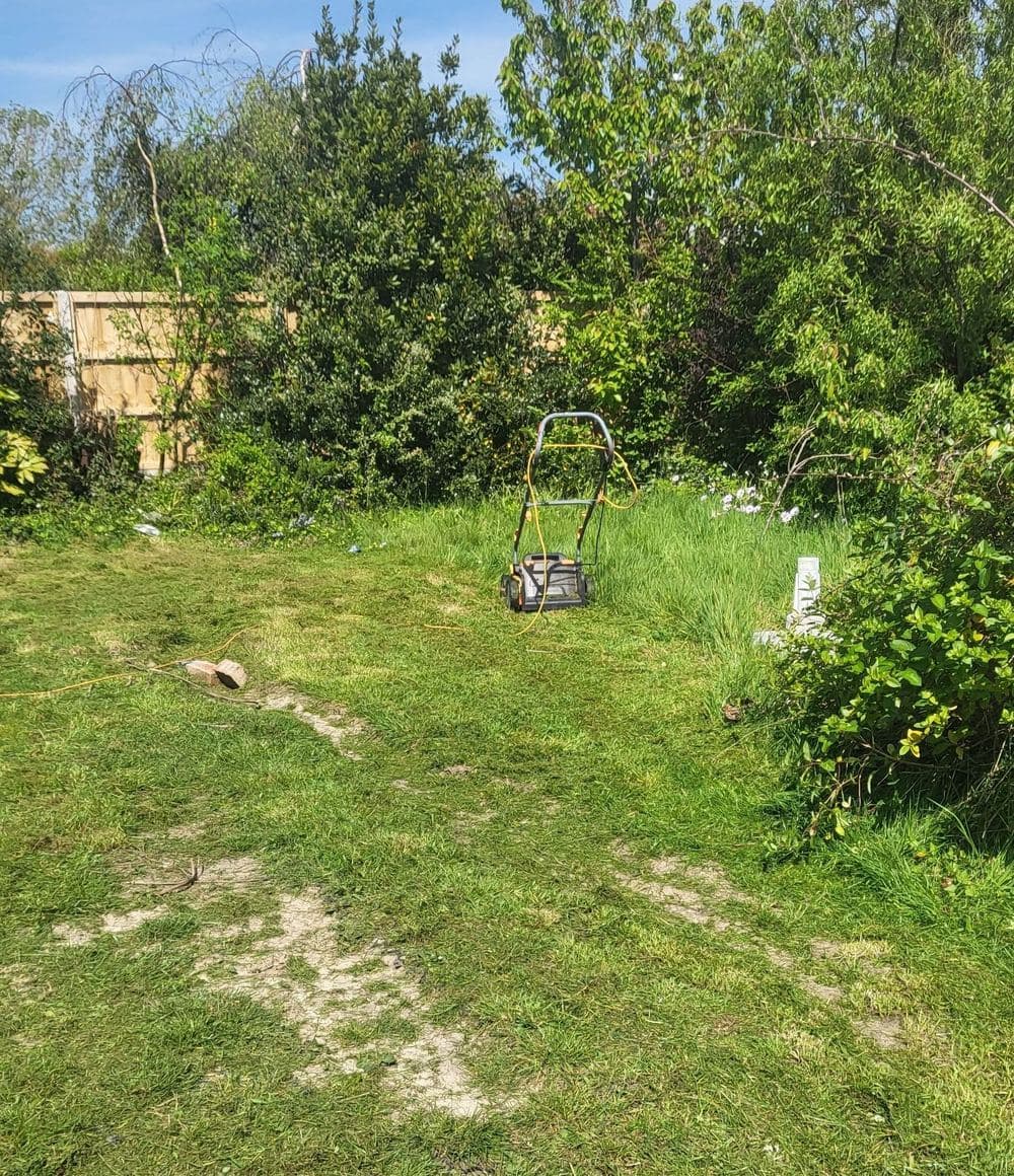 An overgrown back lawn with a mower part-way through the first cut