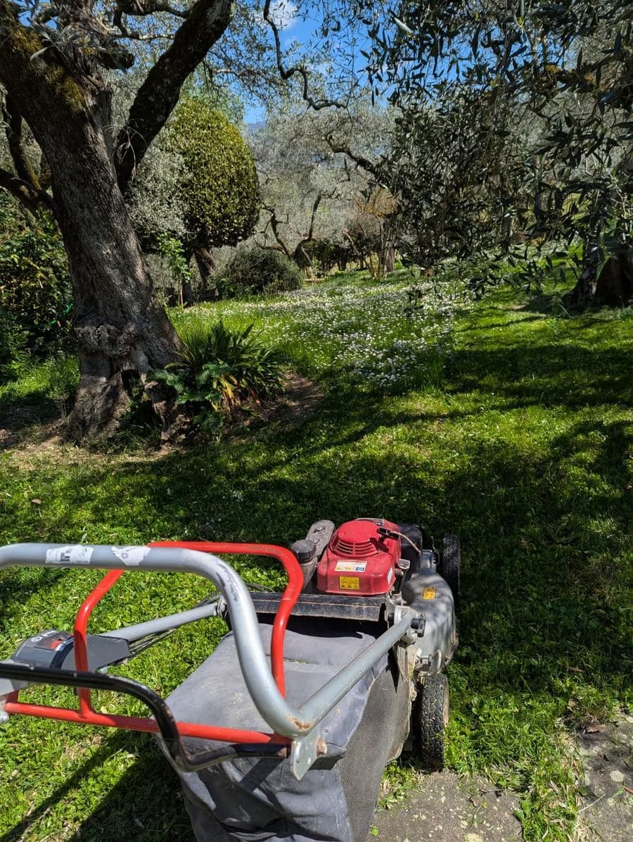 A mower standing on a tarpaulin with the collected grass cuttings beside it